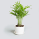 Image for article titled Gifts for the Aspirational Sleeper